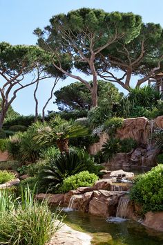 there is a small waterfall in the middle of this garden with trees and plants around it