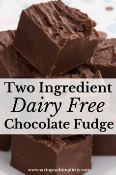 two ingredient dairy free chocolate fudge on a white plate with the title overlay