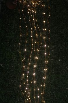 a string of lights hanging from the side of a building in front of a tree