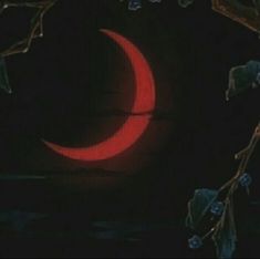 a red moon is seen through the branches of a tree in front of a dark background