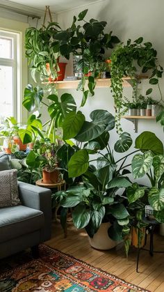 a living room filled with lots of green plants