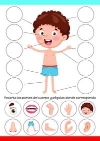 the body and parts of a child's body in spanish with pictures on it