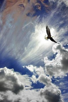 an image of a lion flying through the sky with clouds in the background and words below it