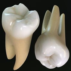 two tooth models sitting side by side on a black background