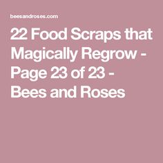 the text reads 19 mind - blowing backyard hacks page 19 of 20 bees and roses