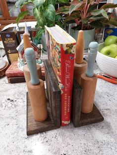 a couple of books sitting on top of some wooden block holders in front of a potted plant