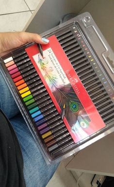 a person holding a box of colored pencils