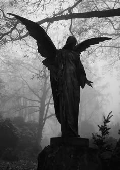 an angel statue in the middle of a foggy forest with trees and bushes around it