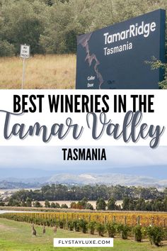 the best wineries in the tamar valley, tasmania with text overlay