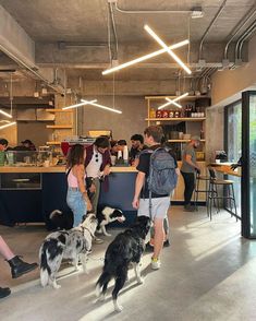 a group of people standing around at a bar with dogs on leashes in front of them