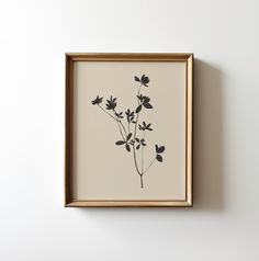 a framed black and white flower print on a wall