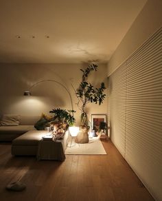 a living room filled with furniture and a plant on top of a wooden floor next to a lamp