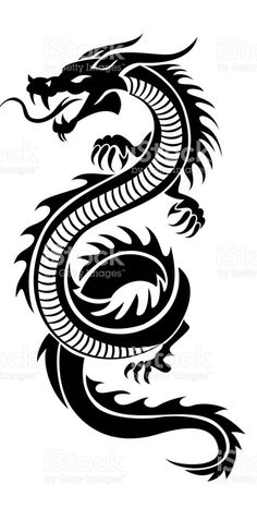 a black and white dragon tattoo design on a white background royalty photo - art illustration