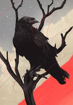 a black bird sitting on top of a tree branch next to a red and gray sky