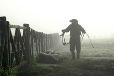 a man is walking in the fog with his dog