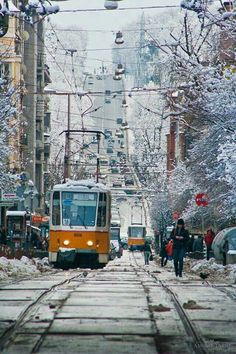 a yellow and white train traveling down tracks next to snow covered trees with people walking on the side