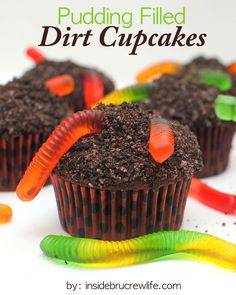 there are cupcakes with worms on top and dirt in the middle that says pudding filled dirt cupcakes