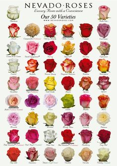 a poster with many different types of flowers in the same color and size as well as numbers