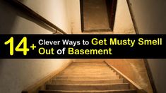 stairs with the words clever ways to get must smell out of basement