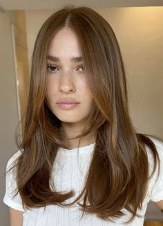 brown hair layers - haircut with layers - light brown with light highlights Honey Brown Hair, Haircut Inspo, בר מצווה, Hair 2024, Long Brown Hair