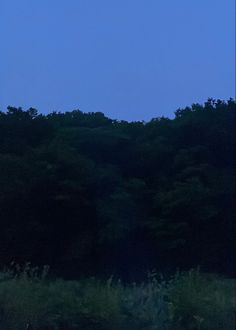 an airplane is flying over the trees at night