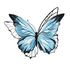 a blue butterfly with white wings and black outlines on it's back side