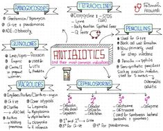 a handwritten diagram with the words autoatotes and their most common abbreviations