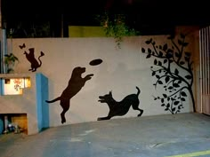 a dog catching a frisbee in front of a painted wall