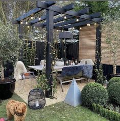 a dog standing in the middle of a yard with lights on it's roof