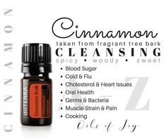 C I N N A M O N B A R K Extracted from the bark of a tropical tree, Cinnamon Bark essential oil is fragrant, flavorful, and filled with many beneficial compounds. Cinnamon Bark oil contains cleansing properties that can help clean household surfaces. When taken internally, Cinnamon Bark oil benefits the body by supporting healthy metabolic function while also maintaining healthy immune function.* Because Cinnamon Bark essential oil contains a high amount of cinnamaldehyde, only one or two drop Cinnamon Bark Essential Oil Blends, Doterra Cinnamon Bark, Essential Oil Cinnamon Blends, Cinnamon Essential Oil Benefits, Root Chakra Oils, Cinnamon Bark Essential Oil, Doterra Oil, Cinnamon Bark