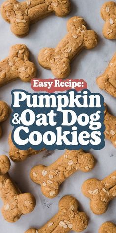 the cover of easy recipe pumpkin and oat dog cookies