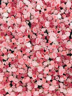 pink and white flowers are arranged together in a pattern on the wall, as seen from above