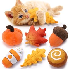 a cat laying on its back surrounded by stuffed animals and leaves, including acorns