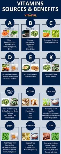 THE BEST SUPPLEMENT TO ENHANCE PERFORMANCE! Vitamins - Food Sources and Benefits. Includes Vitamins A, B, C, D, E, K and More | Supplements | Wellness Tips | Health Infographic | Health Infographic, Vitamin A Foods, Nutrition Sportive, Coconut Health Benefits, Atkins Diet, Immune Health, Food Source, Food Facts, Athletic Performance