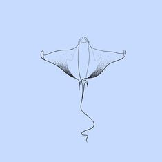 a drawing of a manta ray on a blue background