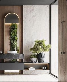 a bathroom with a sink, mirror and potted plant