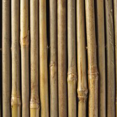 many bamboo sticks are lined up together