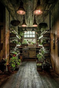 the inside of an old building with plants growing in pots and hanging from the ceiling