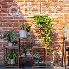 several potted plants sit on shelves in front of a brick wall