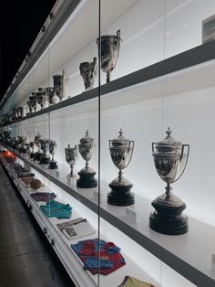 many trophies are on display in a glass case with black and white trimmings