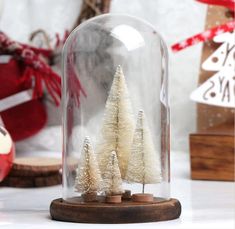 a snow covered christmas tree under a glass clochet on a table with other holiday decorations