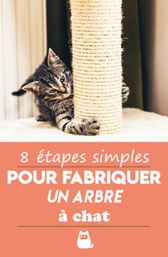 a cat playing with a scratching post in front of the caption that says 8 etapes simples pour fabriquer un arbre a chat