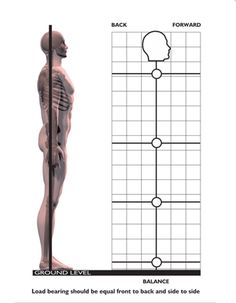 an image of a human body with lines on the back and sides that show different angles