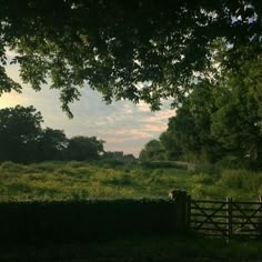 an open field with trees and grass in the foreground