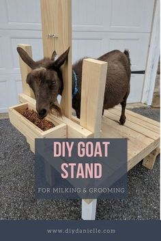 a goat standing on top of a wooden platform eating out of it's trough