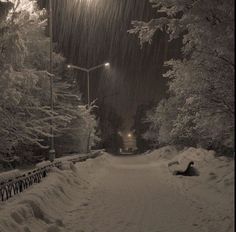 a snowy night with street lights and trees