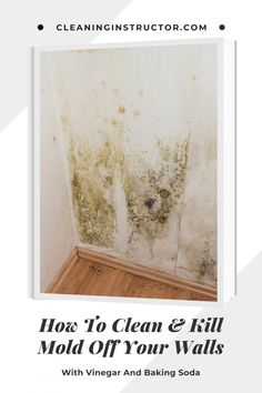 how to clean and kill mold off your walls with vinegar and baking soda