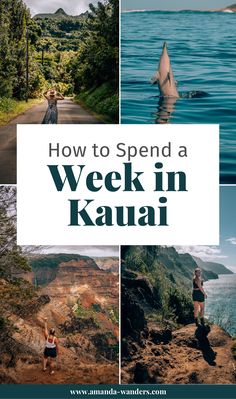 the words how to spend a week in kauai with pictures of people and dolphins