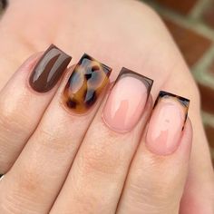 Square nails featuring brown and tortoise shell patterns offer a trendy and sophisticated look. Click to see more and elevate your nail game!@xnailsbypoppy Short Nails Ideas Fall Winter, Short Square October Nails, Very Short Nails Ideas Winter, Fall Mani And Pedi Combos, Fall Nails Designs 2024, Fall Nail Inspo Short Simple, Short Autumn Nails Square, Square Nail Designs Autumn, Fall Nails Shorties