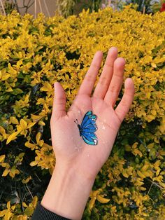 a person's hand with a blue butterfly on it and yellow flowers in the background